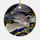 Buscar python adornos Reptil