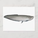 Buscar pescando postales Negro