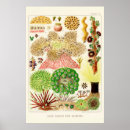 Buscar barreras posters Ilustracion