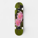 Buscar lirio agua de tablas de skate Botánico