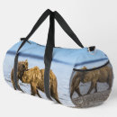 Buscar osos bolsos Para todos