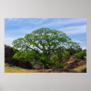 Buscar valle posters Al aire libre