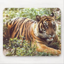 Buscar sumatra alfombrillas de raton Tigre