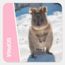 Buscar quokkas pegatinas Australia
