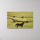 Buscar bala arte Horizontal