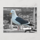 Buscar gaviotas postales Paisajes