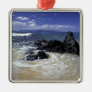 Buscar surf adornos Mar