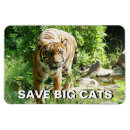 Buscar gatos negros imanes General y unisex