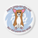Buscar corgis imanes Corgi galés del pembroke