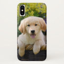 Buscar golden retriever iphone fundas Divertido