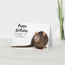 Buscar rata tarjetas Animal