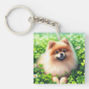 Buscar pomerania llaveros Adorable