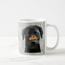 Buscar nariz tazas Animales