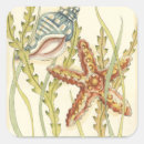 Buscar oceánico pegatinas Estrella