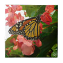Buscar flores rojas azulejos General y unisex