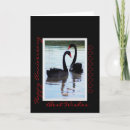 Buscar cisne negro tarjetas Cisnes negros