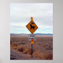 Buscar vacas posters Desierto