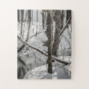 Buscar cala fotografía Fotografía de la naturaleza