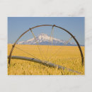 Buscar riego postales Paisaje