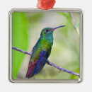 Buscar selva adornos Rosa