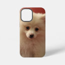 Buscar pomerania iphone fundas Lindo