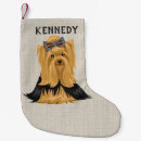 Buscar del yorkie Perrito