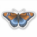 Buscar insectos macbook sleeves fundas Mariposa