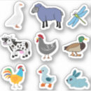 Buscar gallo y gallina pegatinas Para niños