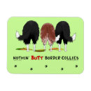 Buscar border collie imanes Perro