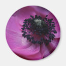 Buscar naturales imanes Florales