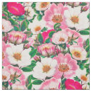 Buscar rosas telas Blanco