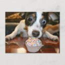 Buscar enchufe postales Animales
