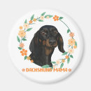 Buscar del dachshund imanes Para ella
