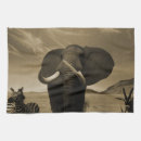 Buscar elefante paños de cocina Para todos