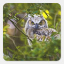 Buscar selectivo pegatinas Sentada