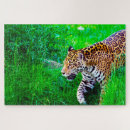 Buscar grande gatos puzzles Para ella