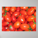 Buscar tomate rojo posters Cosecha