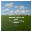 Buscar juan azulejos Religión