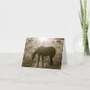 Buscar santuario tarjetas Fotografía