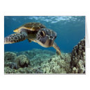 Buscar hawaiana postales Fondo