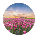 Buscar holanda tablas cortar Naturaleza