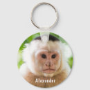 Buscar mono accesorios Niños