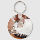 Buscar gato gris llaveros Lindo