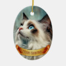 Buscar ragdoll Divertido