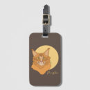 Buscar cat accesorios Ilustracion