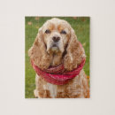 Buscar bufandas puzzles Perro