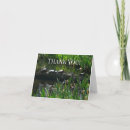 Buscar naturalez tarjetas Verde
