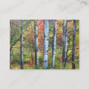 Buscar apenas tarjetas de visita Bosques