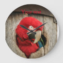 Buscar loro verde relojes de pared Rojo