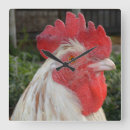 Buscar gallo relojes de pared Pollo
